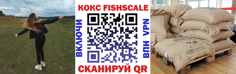 Купить закладки  Зарайск  Кокаин Fish Scale 