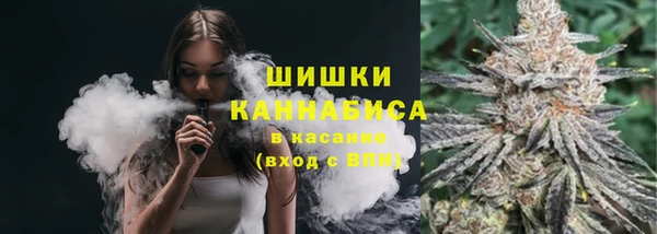 гидра Медногорск