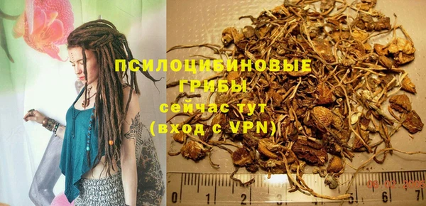 прущая мука Мегион
