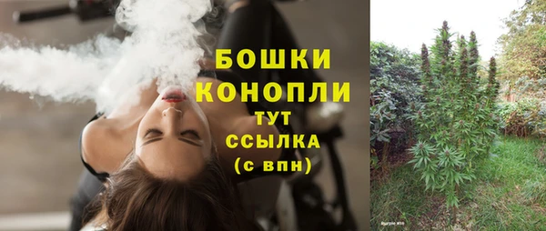 гидра Медногорск